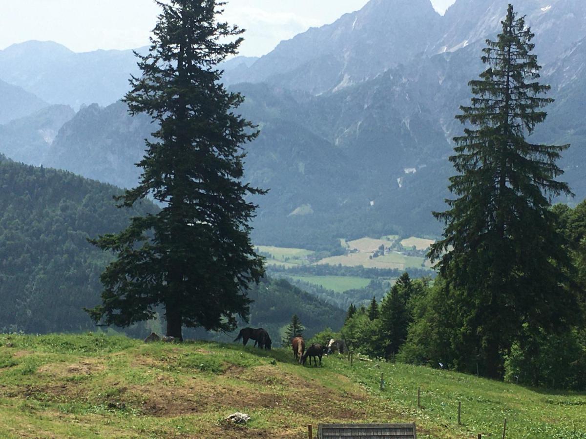 Wengerwirt Zur Laube Bed & Breakfast Weng im Gesause ภายนอก รูปภาพ