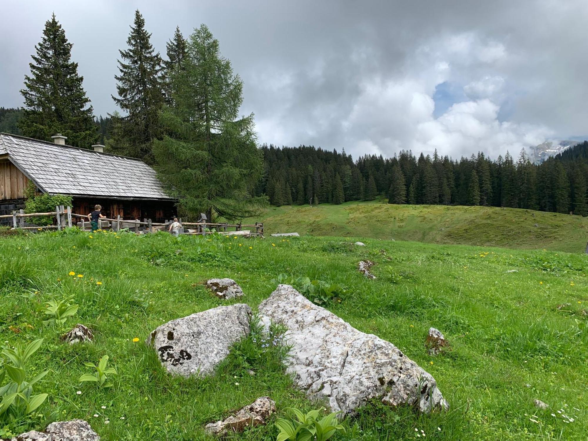 Wengerwirt Zur Laube Bed & Breakfast Weng im Gesause ภายนอก รูปภาพ
