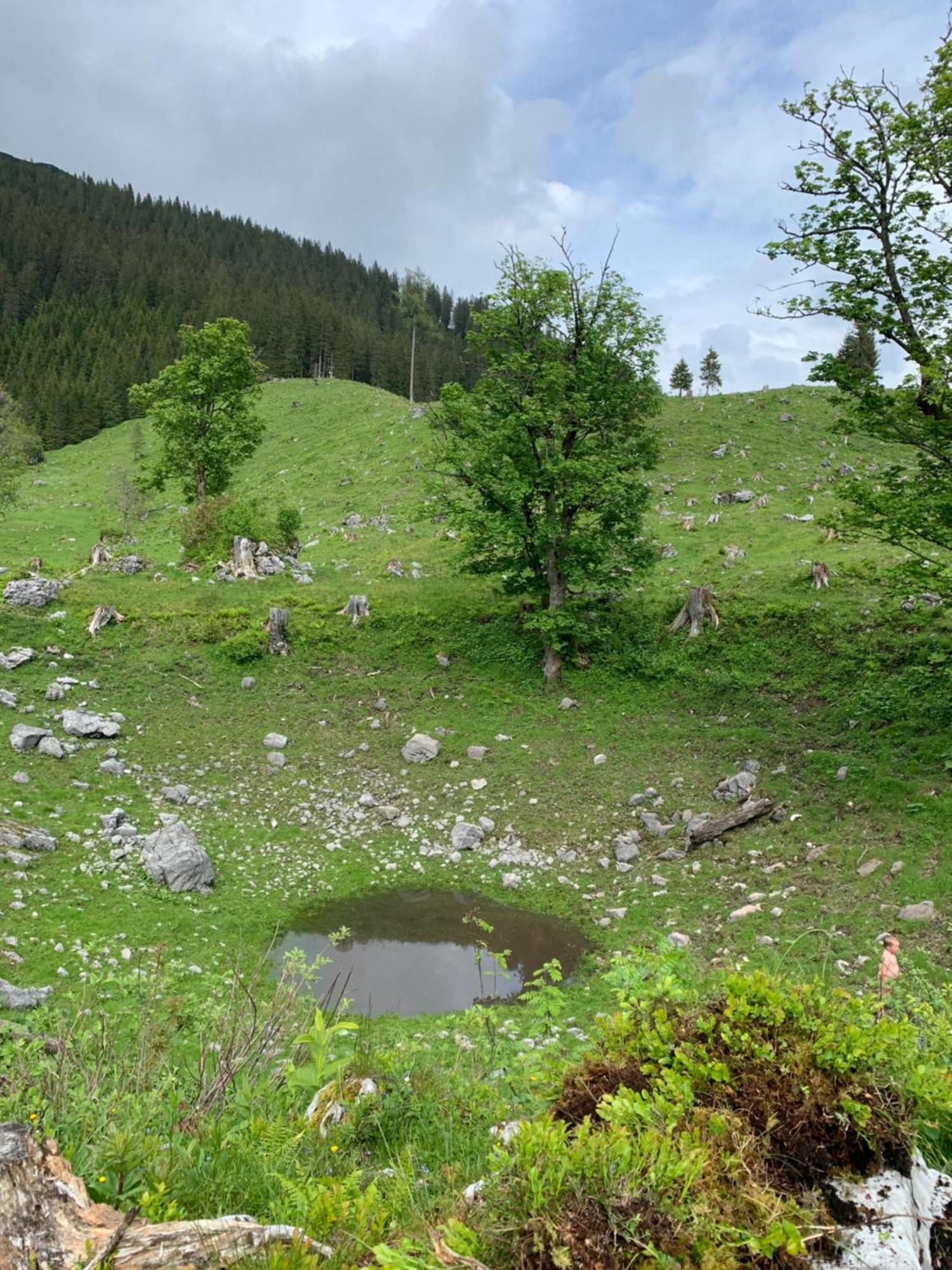 Wengerwirt Zur Laube Bed & Breakfast Weng im Gesause ภายนอก รูปภาพ